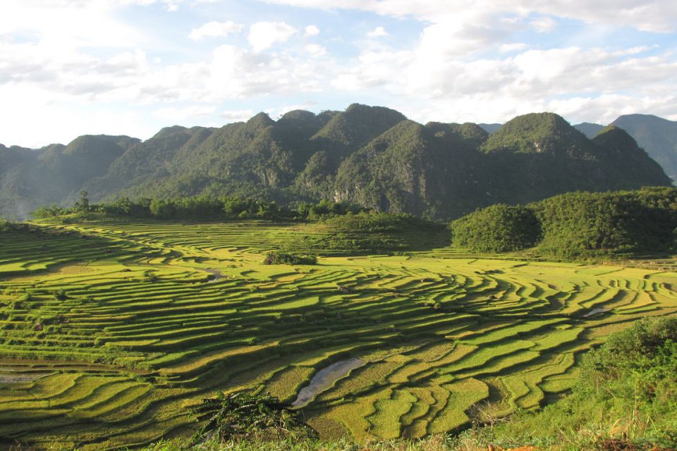 pu-luong