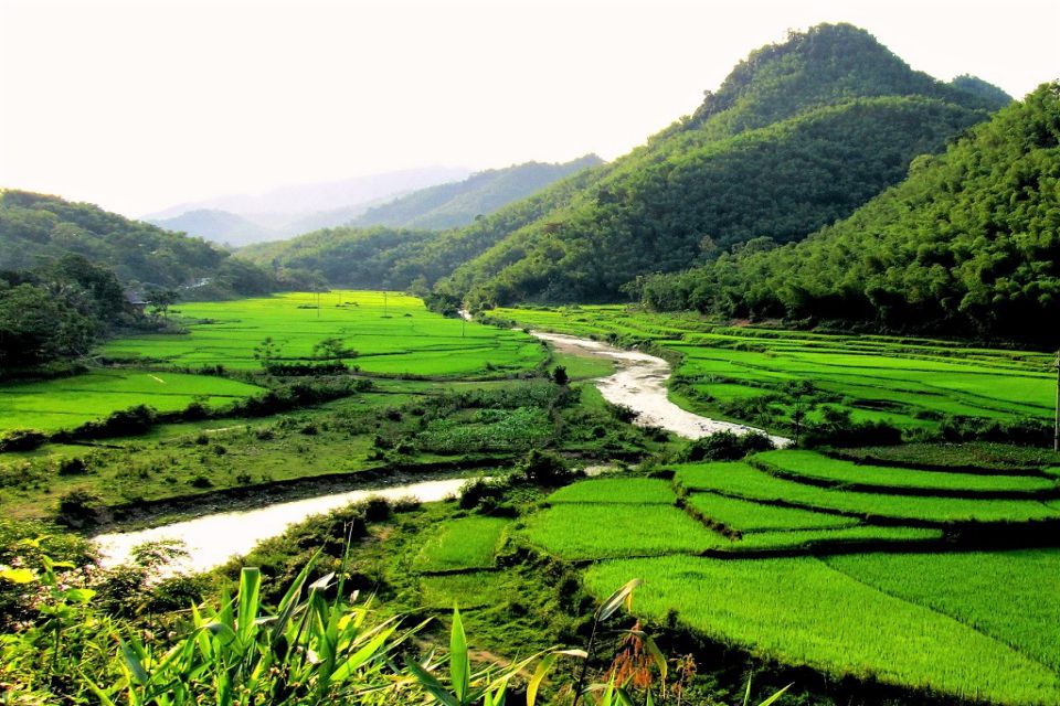 pu-luong