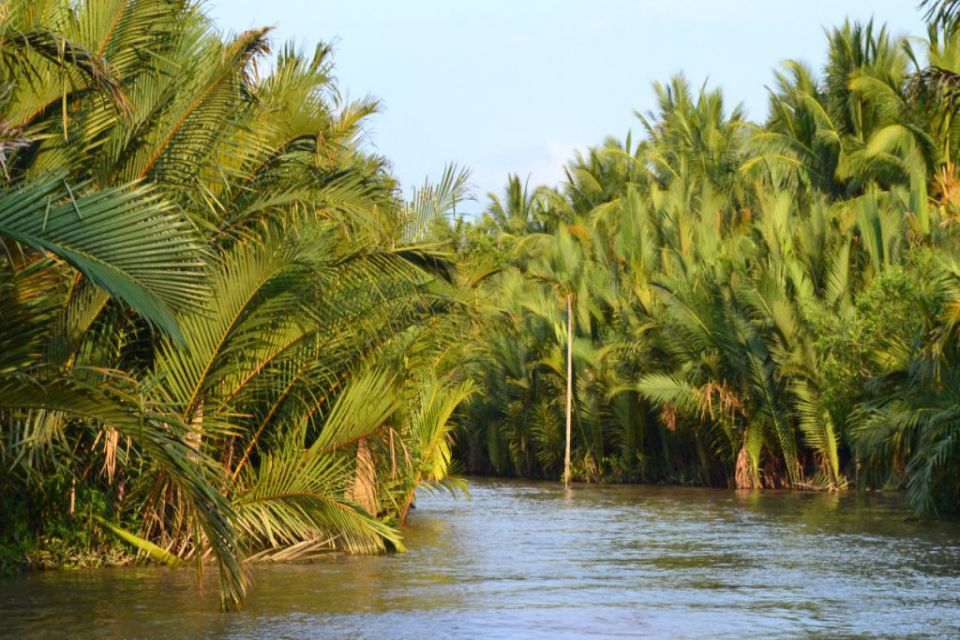 coconut-along-river_960
