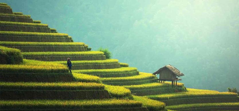 When is the best time to visit Vietnam? 