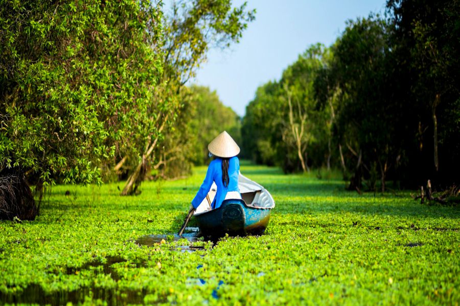 visit-tra-su-forest-by-boat
