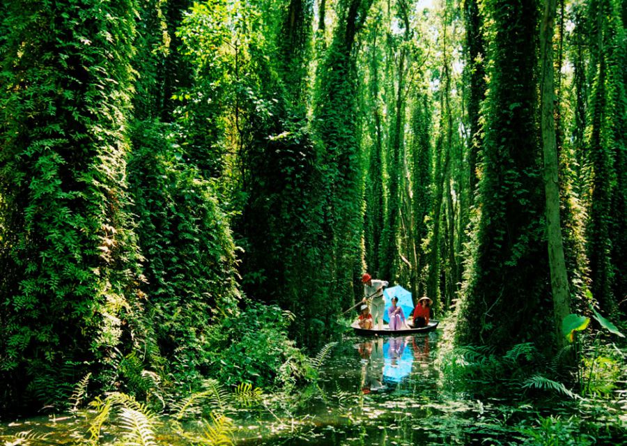rowing-boat-in-xeo-quyt-forest