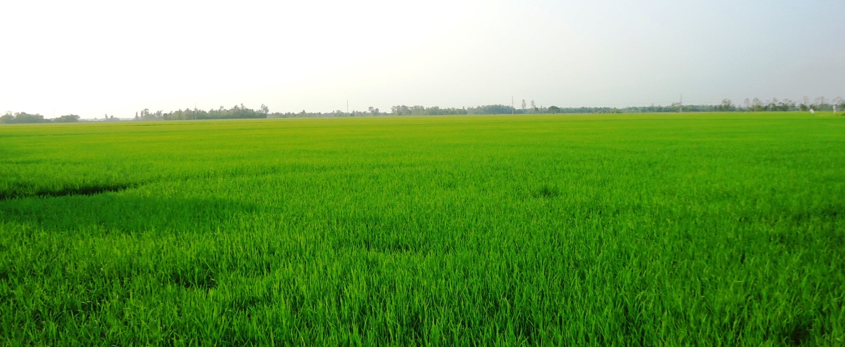 The Real Vietnam Experience Full Day