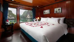 Premium cabin