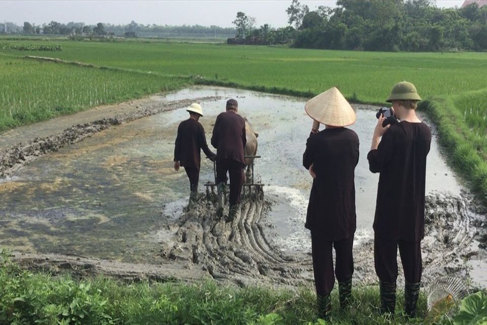 try-work-as-farmer-with-buffolow