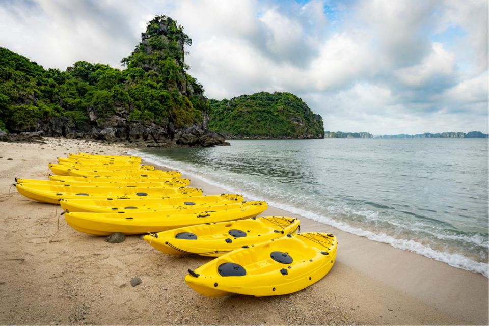 kayak