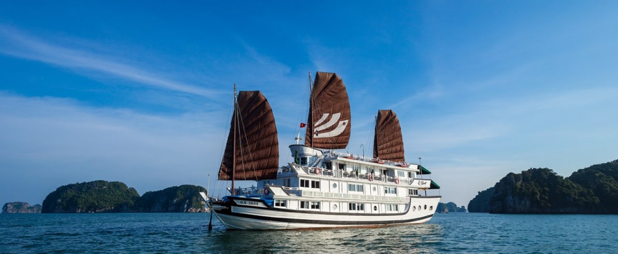 Pelican Cruise 3 days/ 2 nights