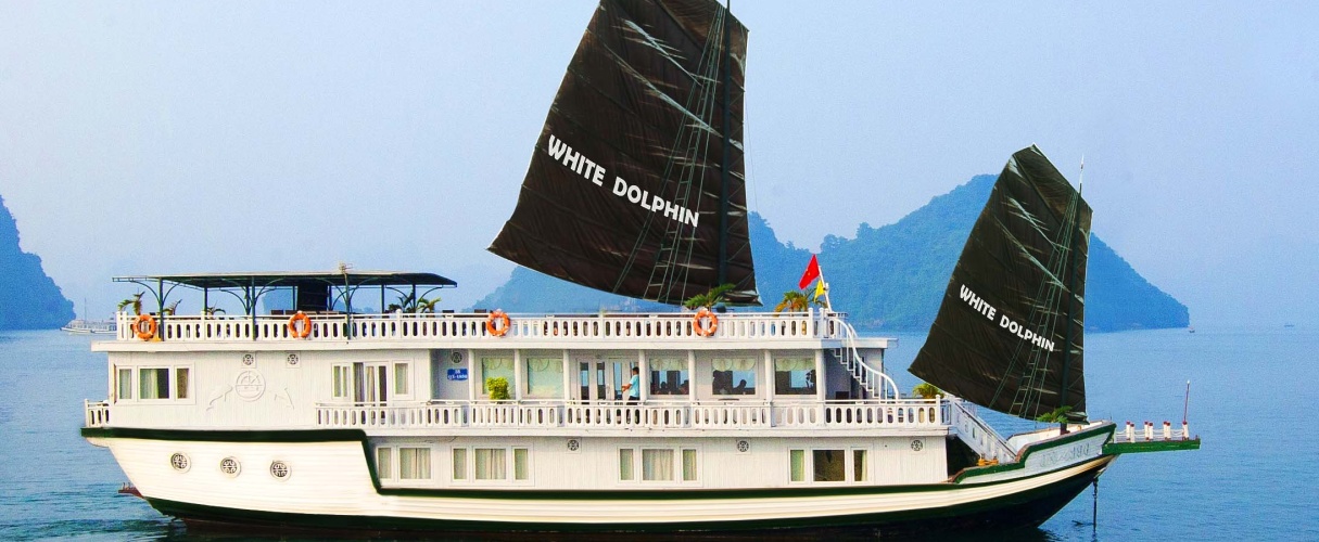 White Dolphin Legend Cruise 3 days/ 2 nights