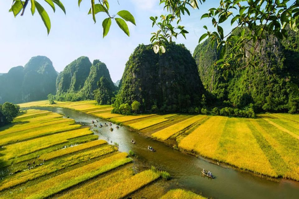 rice-field-in-tam-coc-area-960
