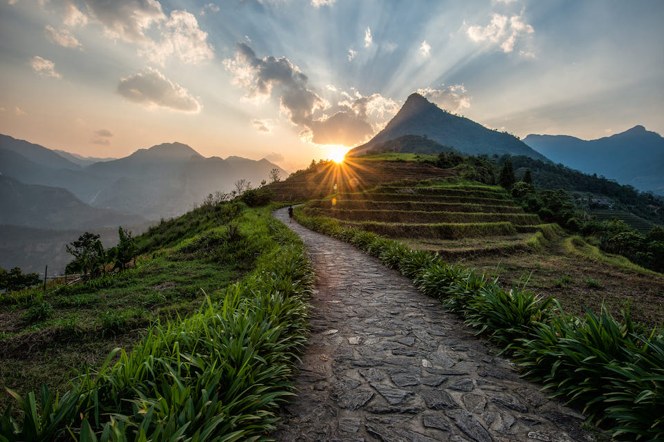 960-sapa-green-terraces