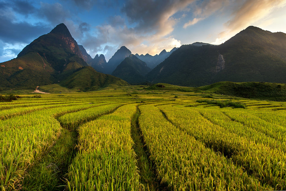 960-sapa-in-spring