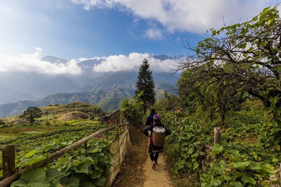 960-sapa-trekking