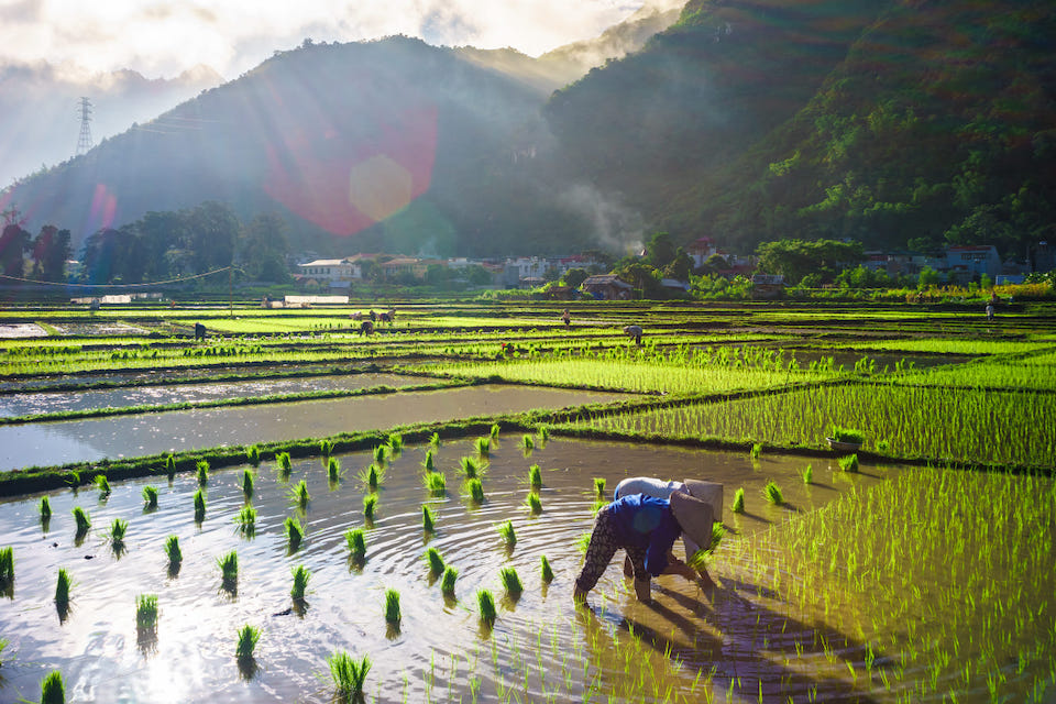 explore-the-charm-of-pom-coong