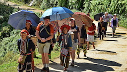 Group tour