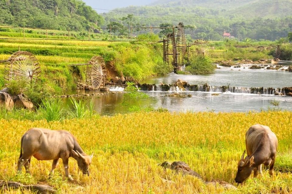 hieu-village-in-pu-luong