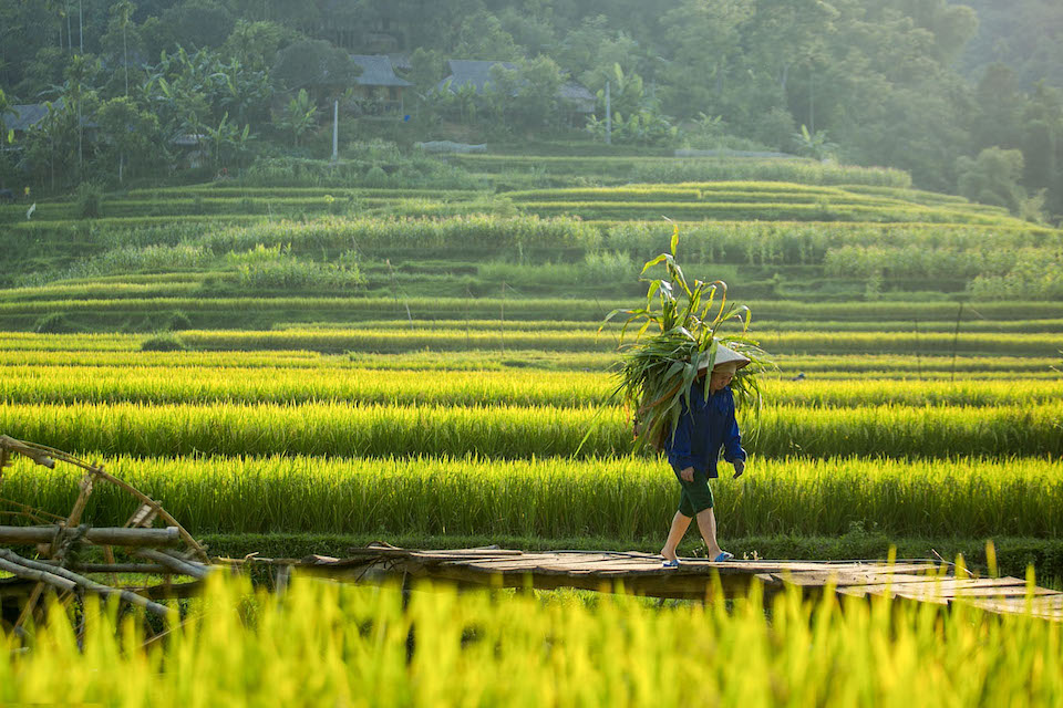 life-in-pu-luong