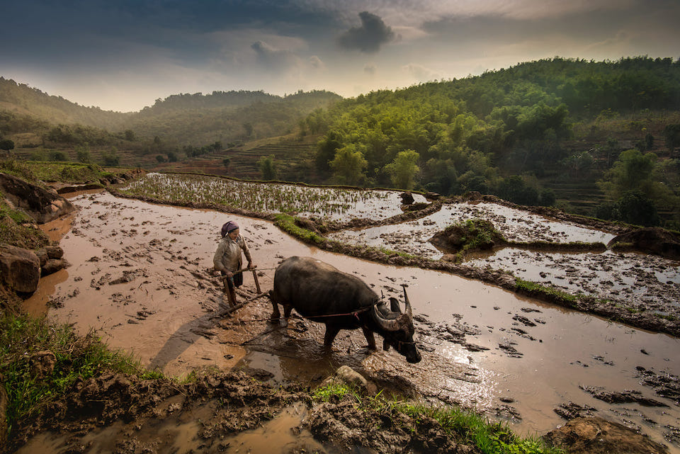 life-in-pu-luong-2
