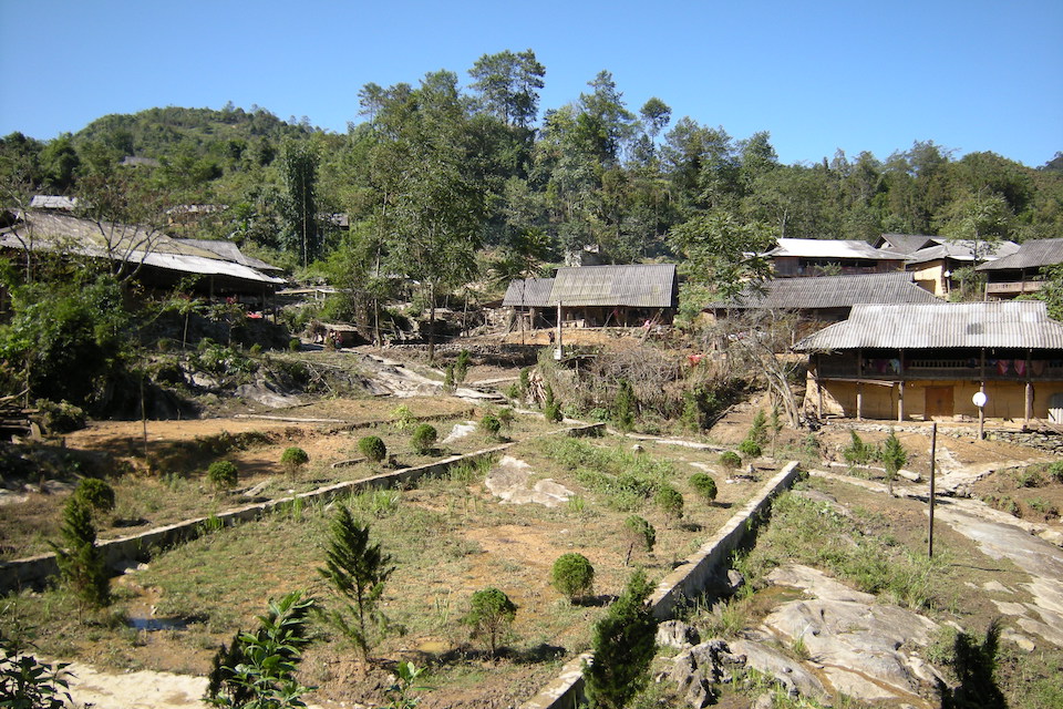 local-house