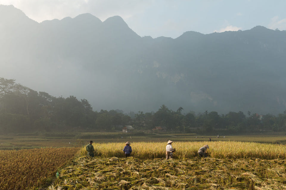 mai-chau-2
