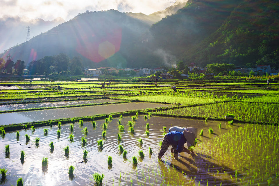mai-chau-5