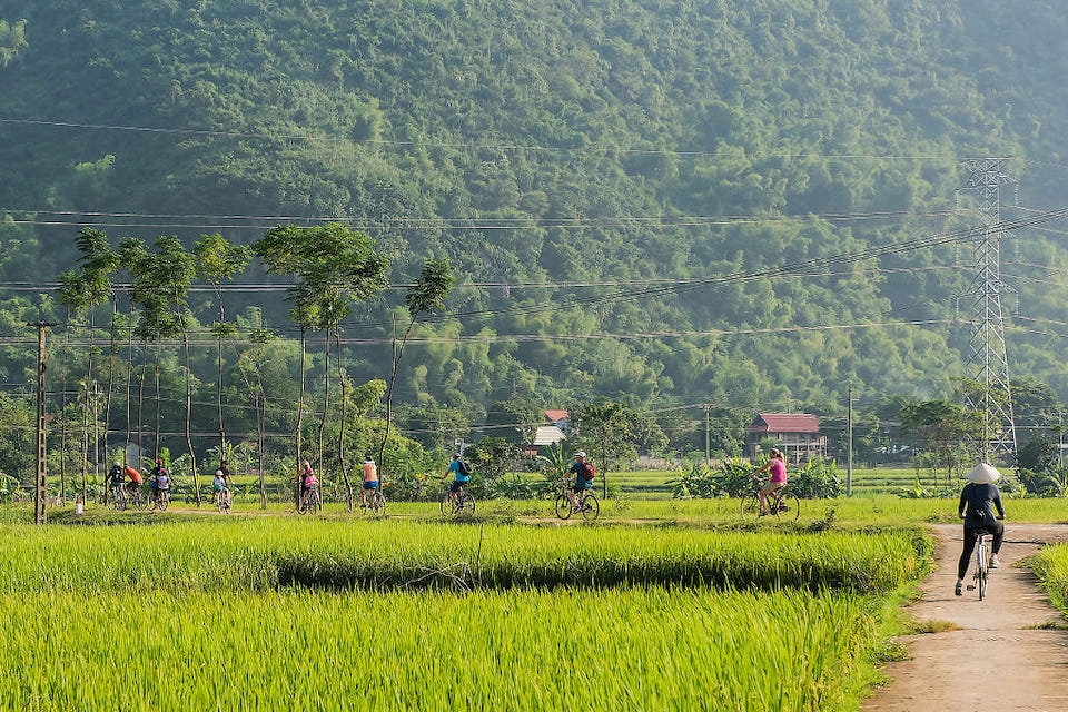 mai-chau-rice-field