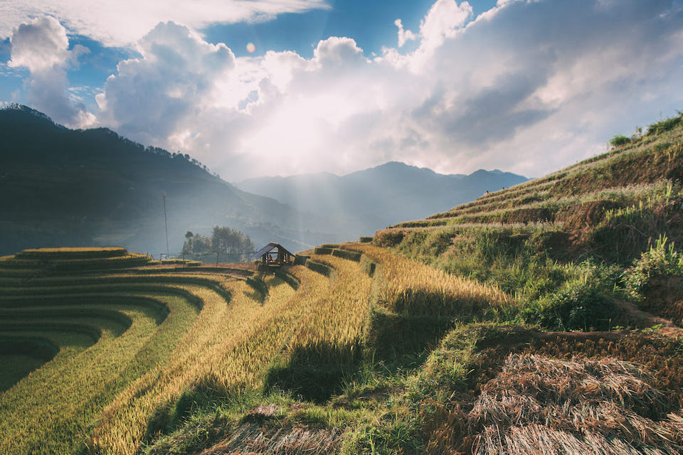 mai-chau-rice-paddies