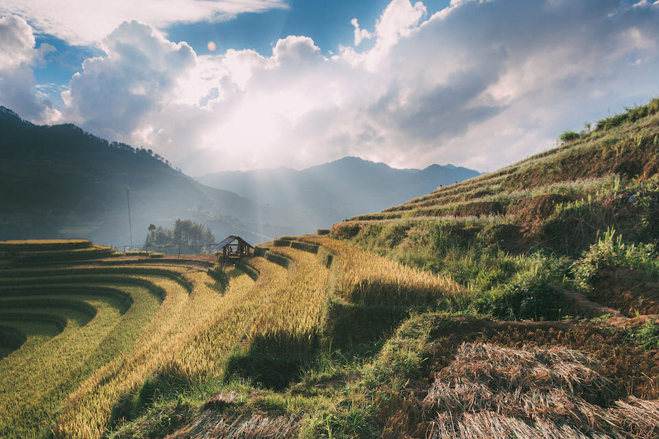 mai-chau-rice-paddies