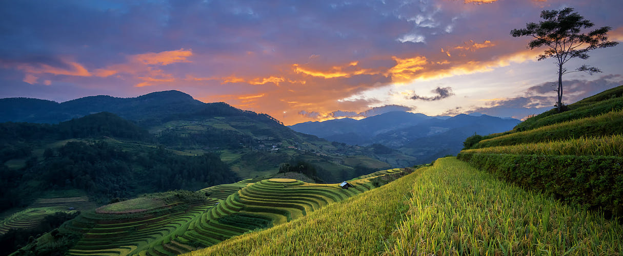 Sapa Medium Trek 3D4N (homestay-hotel) by train