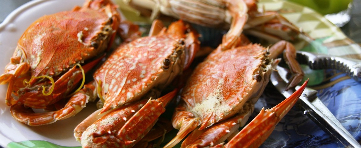 North & South of Phu Quoc full day tour