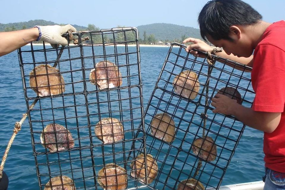 phu-quoc-day-trip-with-fingernail-may-rut-island-2