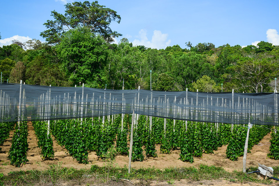 phu-quoc-discovery-package-3d2n-6