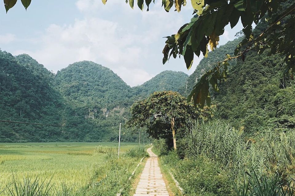 pu-luong