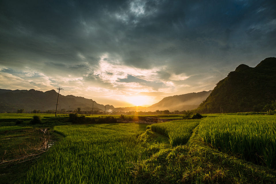 rice-paddies-in-mai-chau