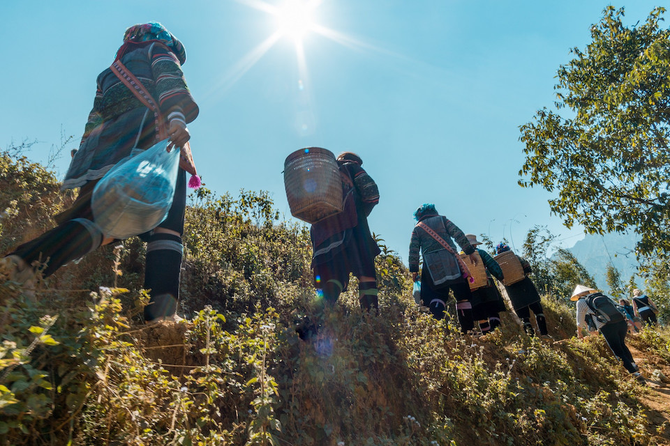 sapa-biking-trekking-2d3n-5
