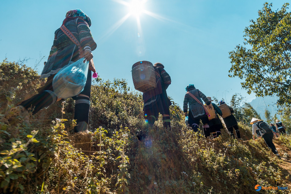 sapa-easy-trek-2d3n-by-train-4