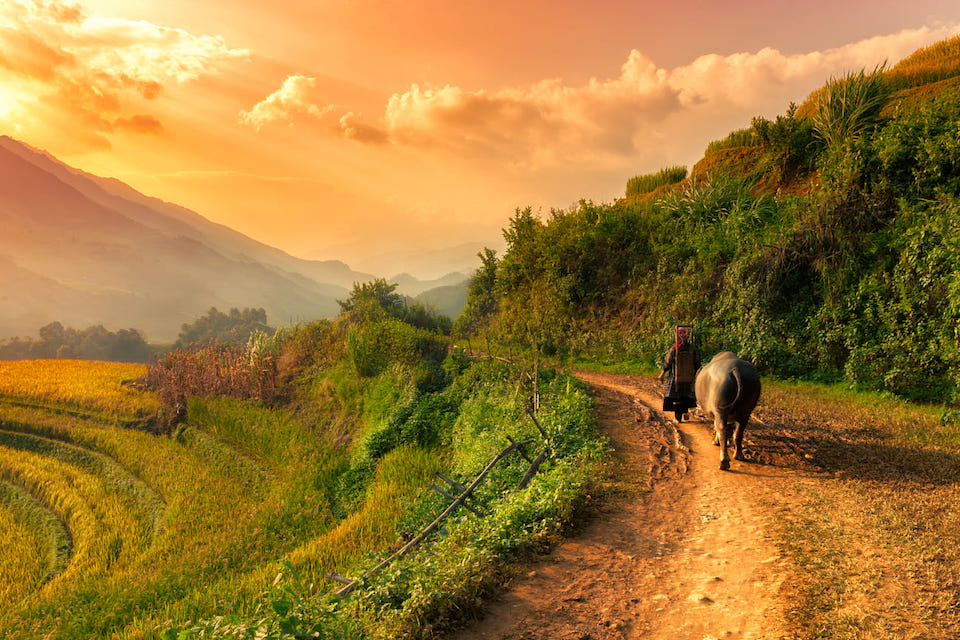 sapa-easy-trek-2d3n-by-train-6