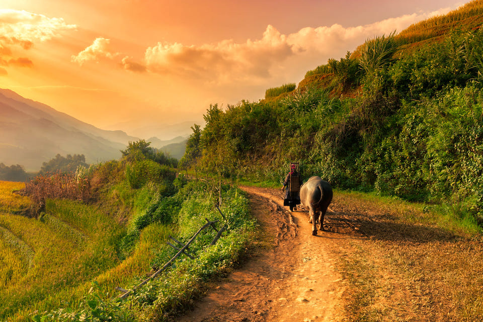 sapa-easy-trek-bac-ha-market-2d3n-4