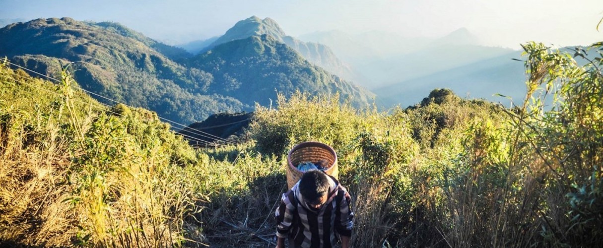 Sapa trekking by bus 3D2N (hotel stay)