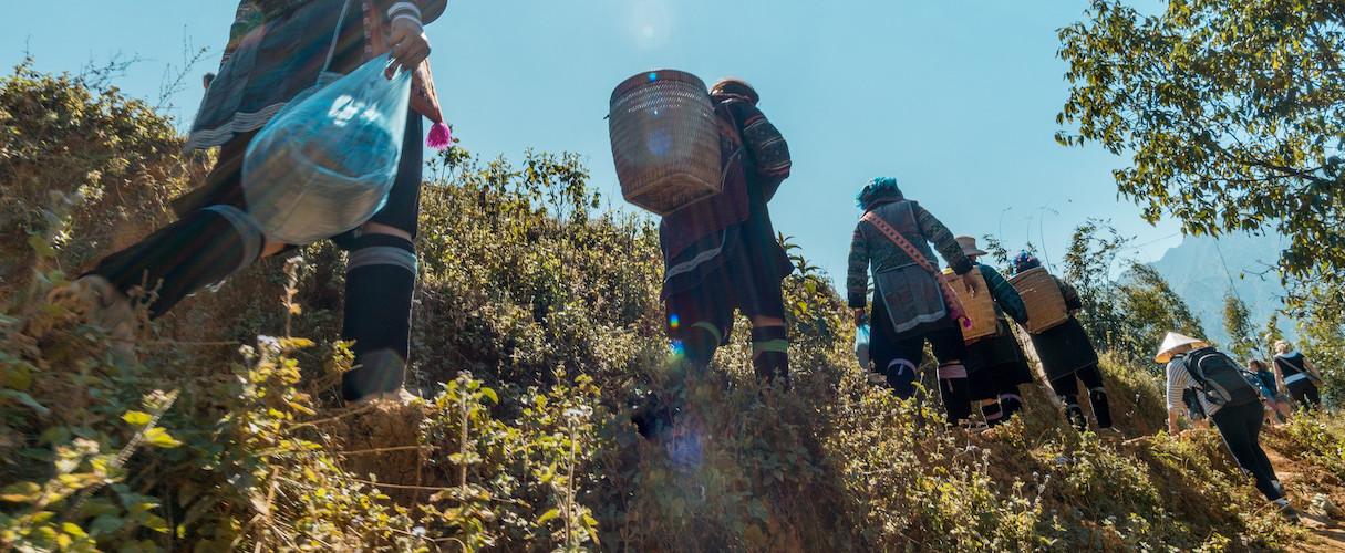 Sapa Trekking with Bac Ha Market 3D4N by train