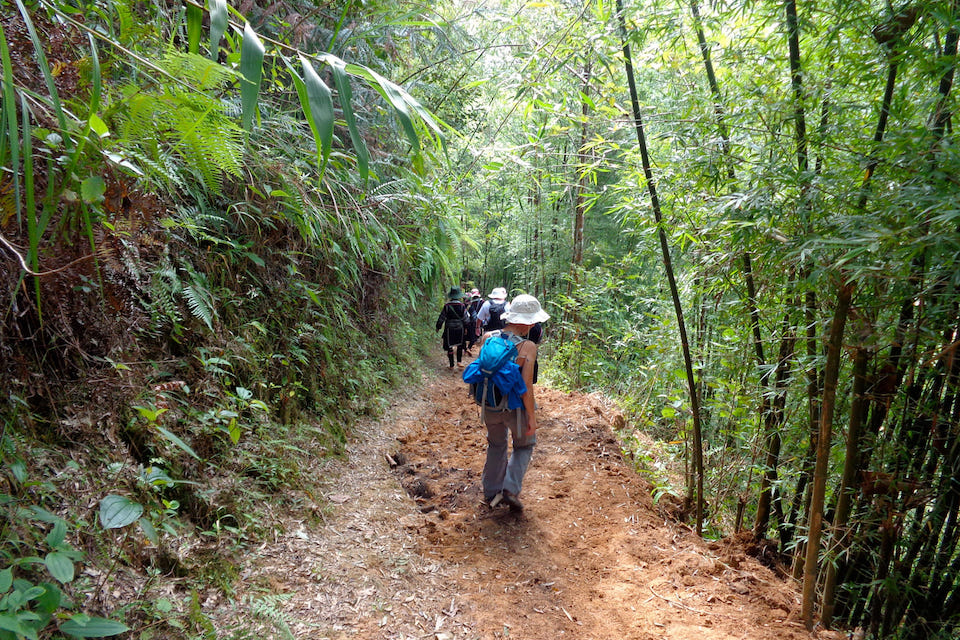 trekking