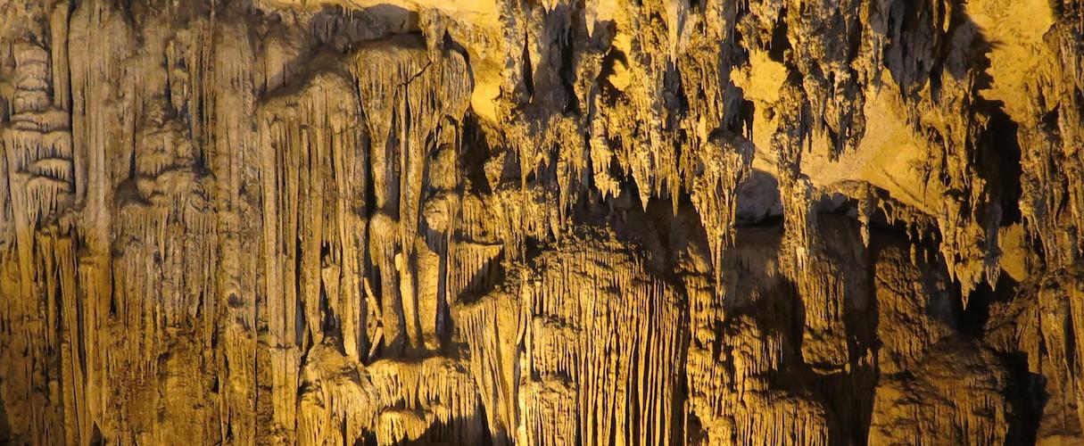 Tiger Trail Travel