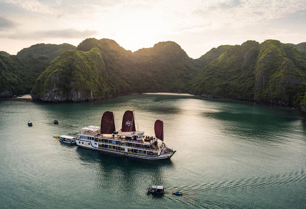 Orchid Cruise