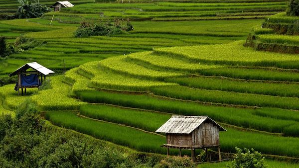 Private tour price