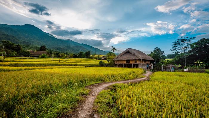 The pristine beauty of Sapa